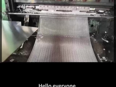 15 ملم Swm X 30 ملم Lwm الفولاذ الموسعة الصفائح المعدنية للتصاميم الفريدة